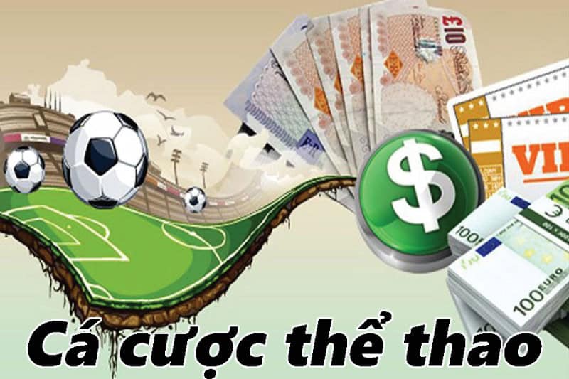 33Win Thể Thao – Cá Cược Kèo Cao Hấp Dẫn 2026 6 Cá cược bóng đá siêu hấp dẫn