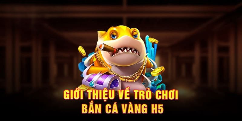 33Win Bắn Cá Vàng H5 - Game Bắn Cá Hấp Dẫn Nhất 2026 3 Bật mí các chế độ chơi phù hợp với từng đối tượng